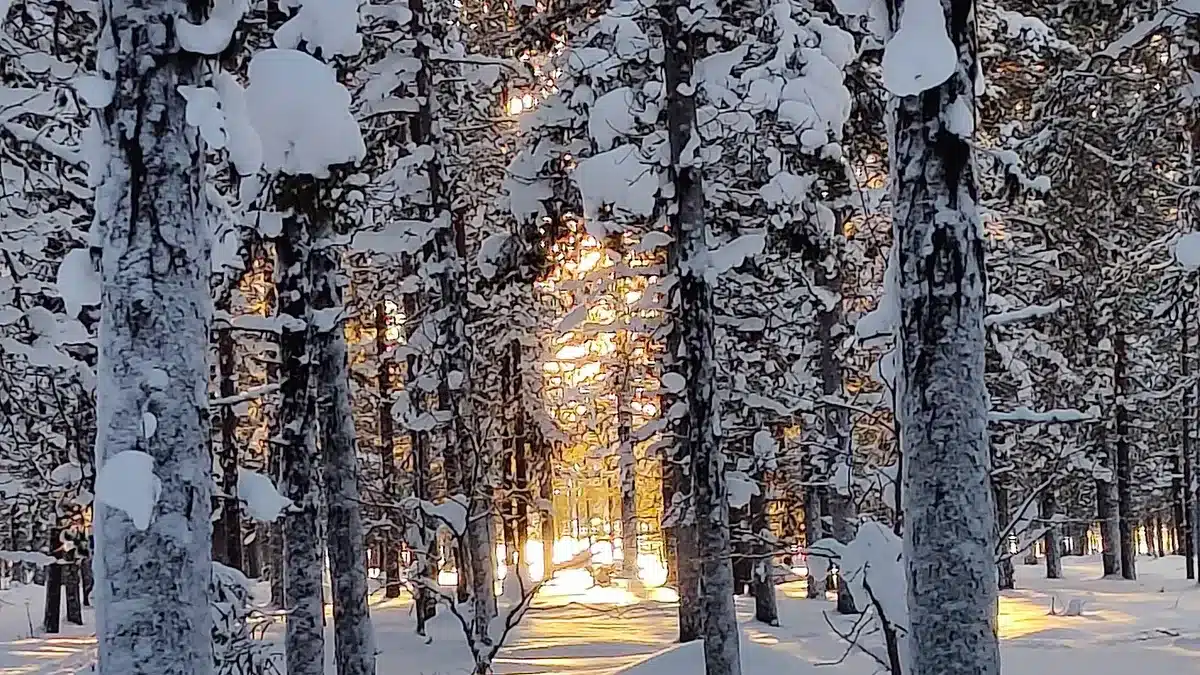 Applications in Canadian Climates