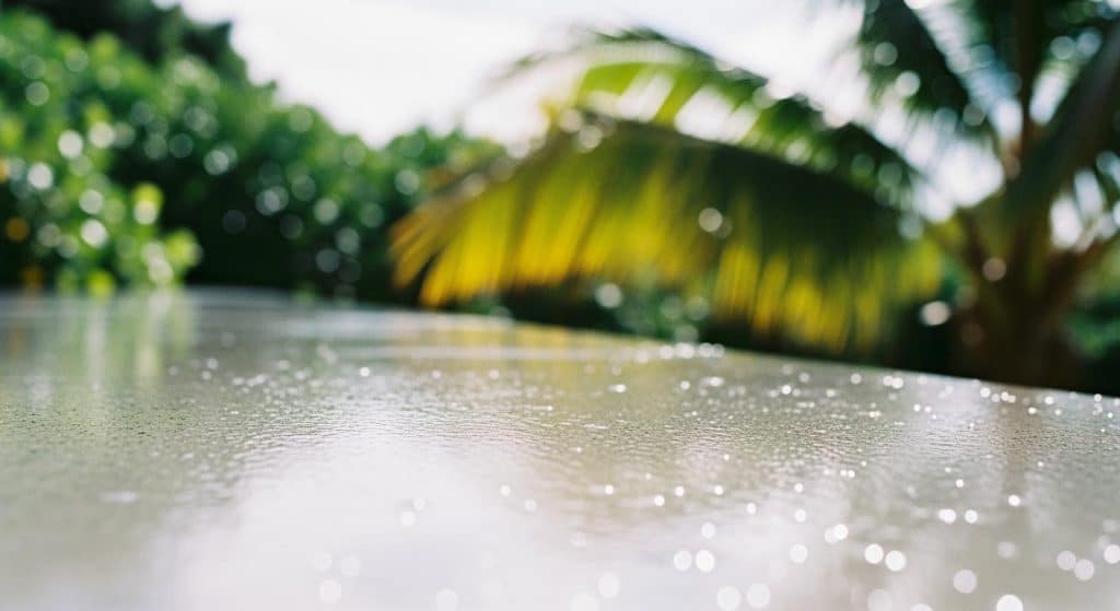 How BANDě Rigid Waterproofing Sealer Protects Concrete in Tropical Conditions