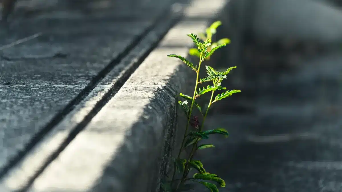 Eco Benefits of BANDě Hardener