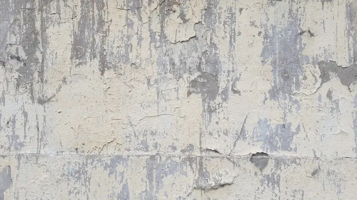 How to Paint Textured Walls
