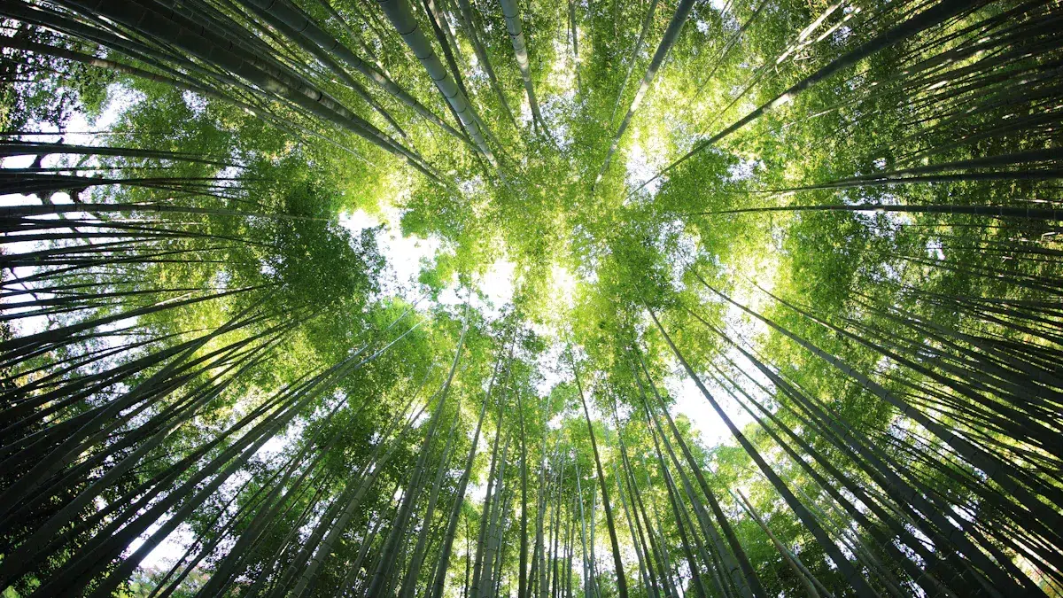 Environmental Benefits of Zero-VOC Paint
