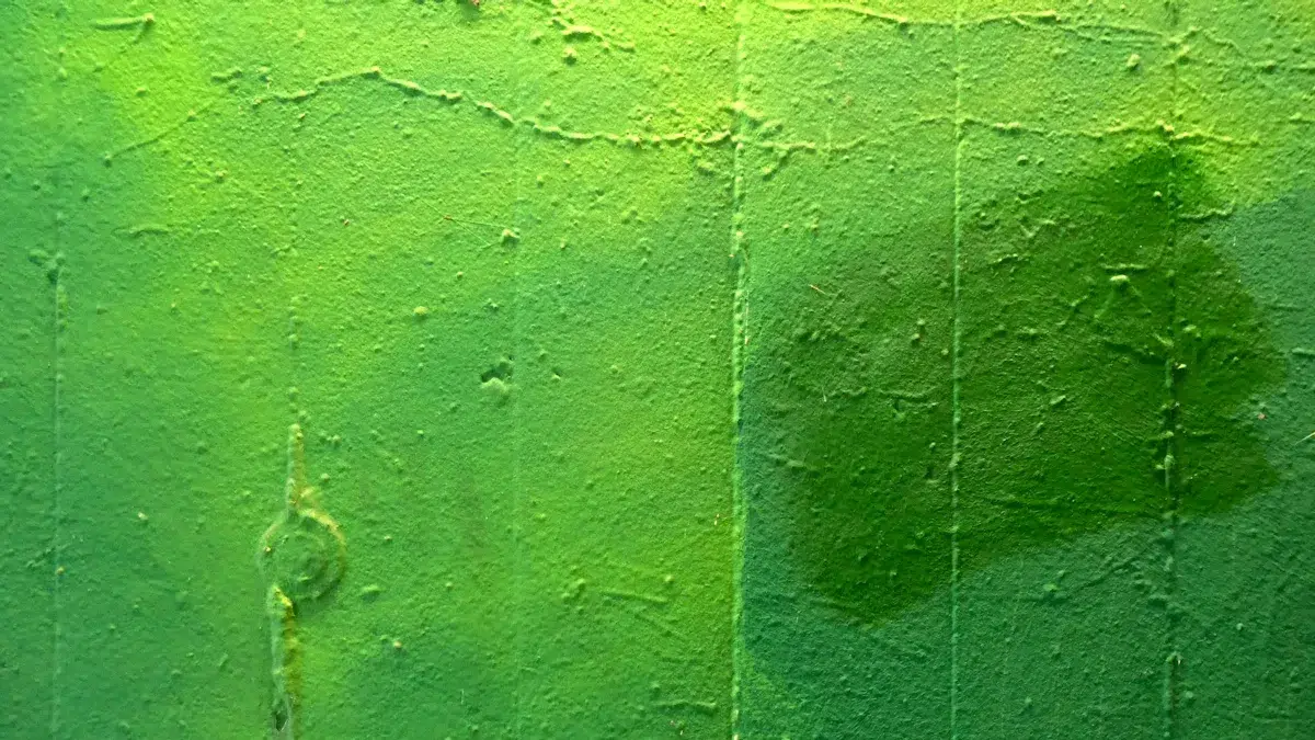 Wall Coating Types