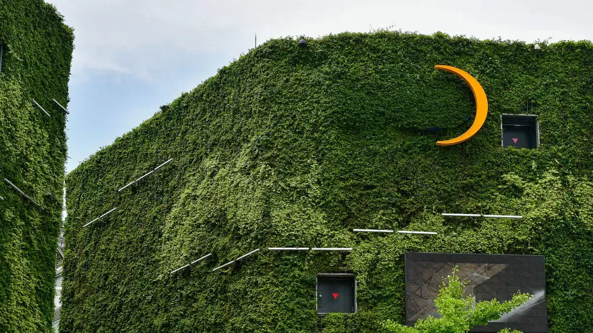 Types of Eco-Friendly Coatings