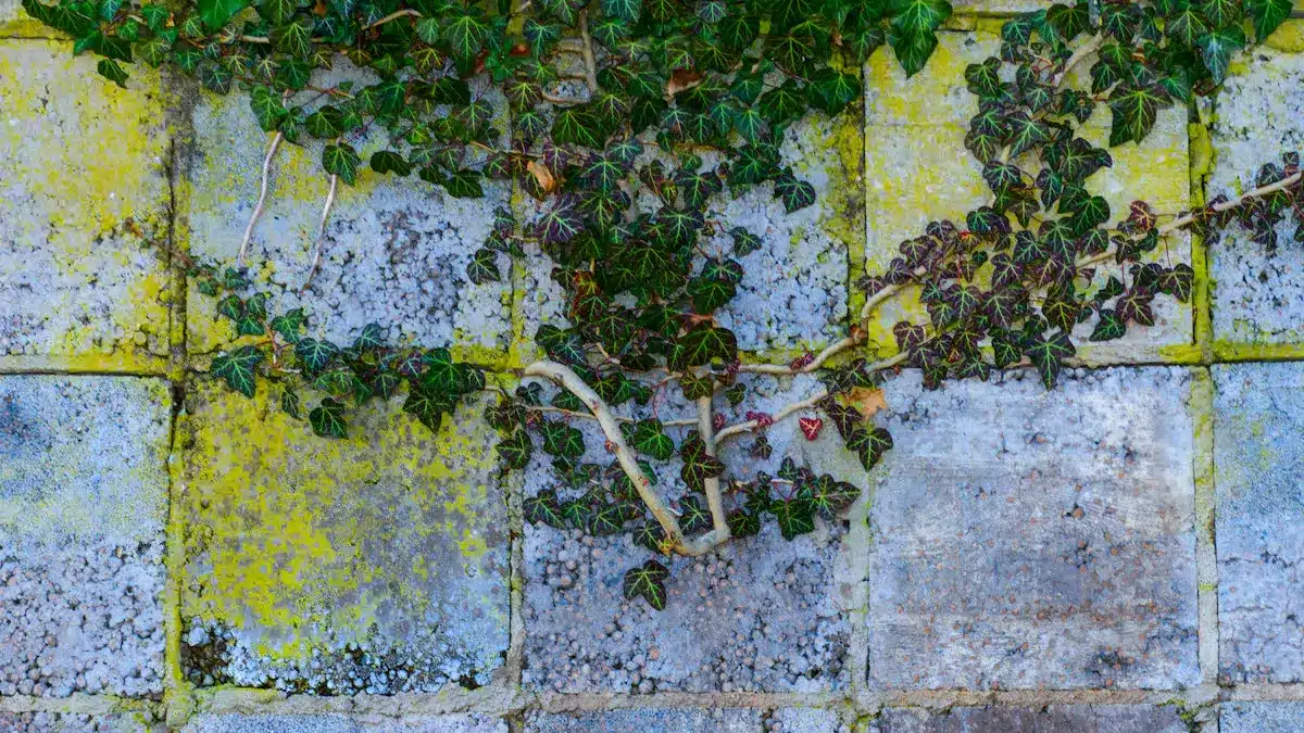 Sustainability and Aesthetics
