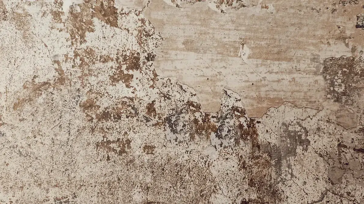 Preparing Your Walls