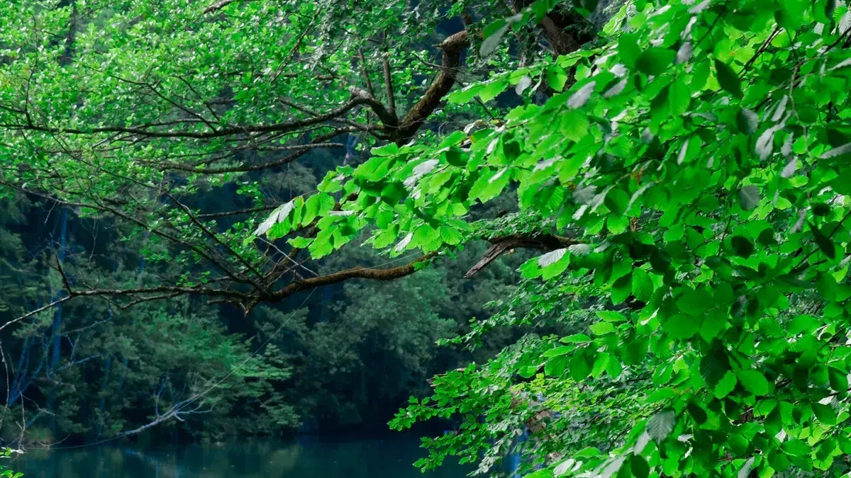 Benefits of Eco-Friendly Coatings