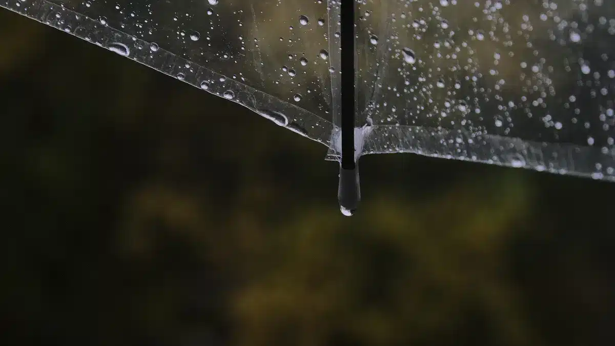Effectiveness Against Dampness