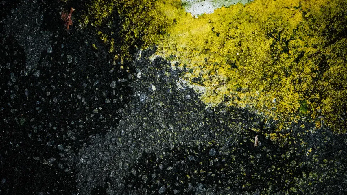 Types of Texture Paints in Indonesia