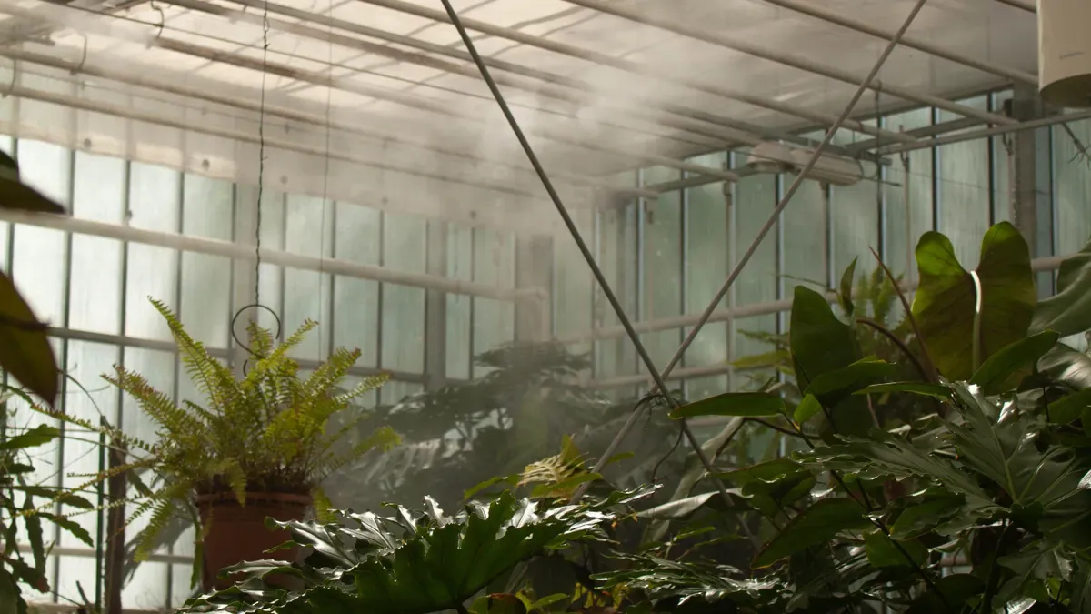 Reason 2: Eco-Friendly Moisture Regulation and Mold Prevention