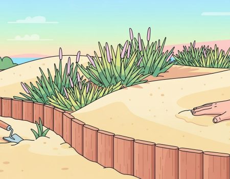 Preventing Erosion and Dust: Innovative Uses for Sand Stabilizers in Landscaping.